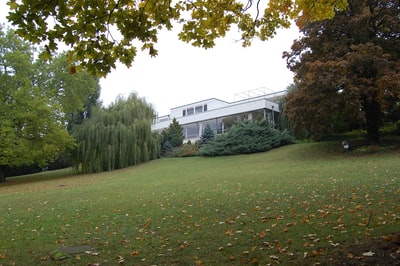 Houses near the tree
